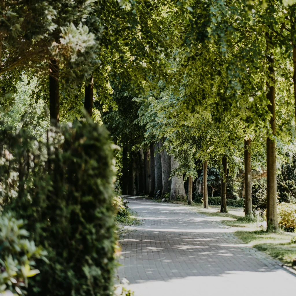 Michaelisfriedhof_Wege